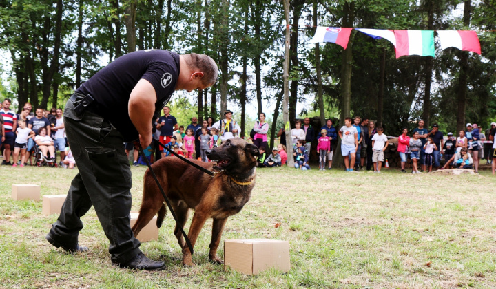 Furmanské preteky 2019