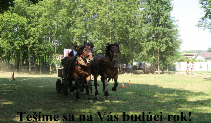 Furmanské preteky