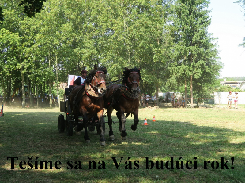 Fašiangy 2016