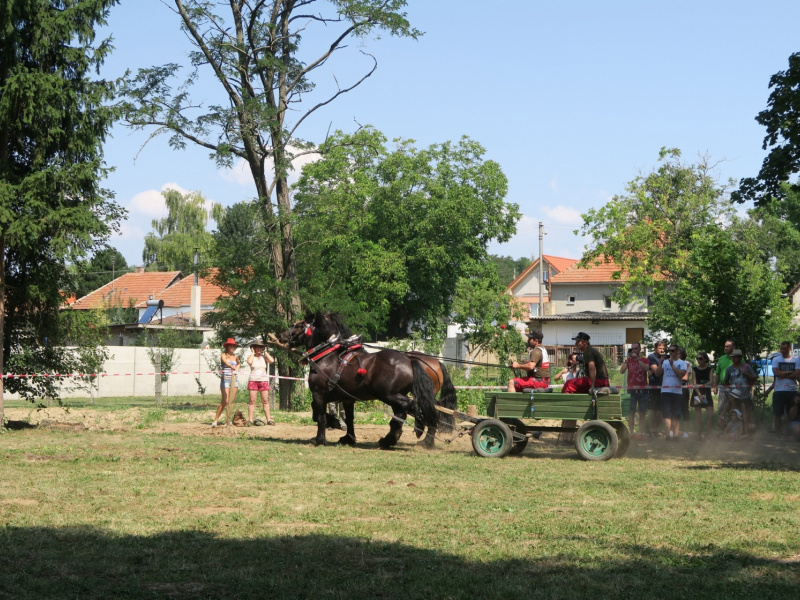 Fašiangy 2016