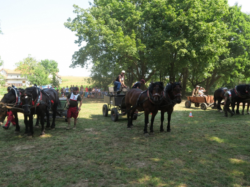 Fašiangy 2016