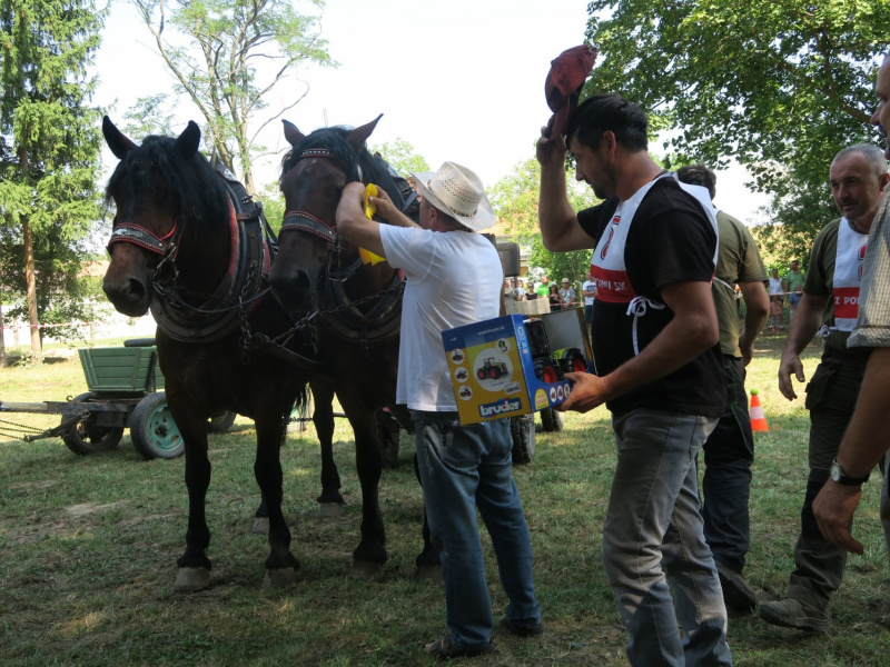 Fašiangy 2016