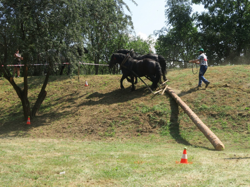 Fašiangy 2016