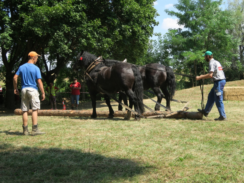 Fašiangy 2016