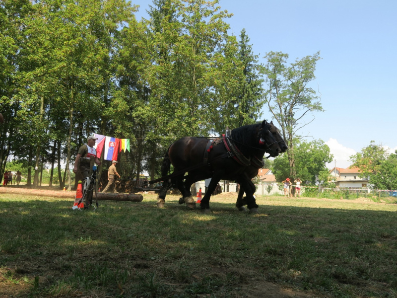 Fašiangy 2016