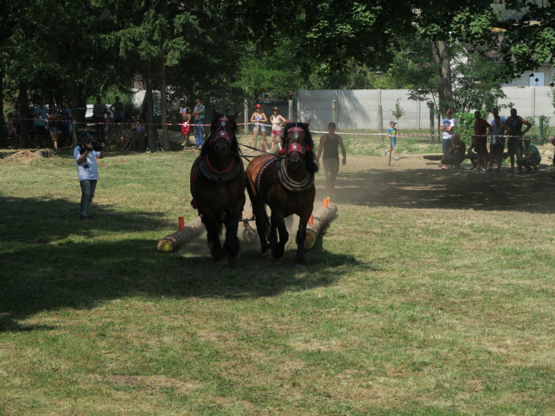 Fašiangy 2016