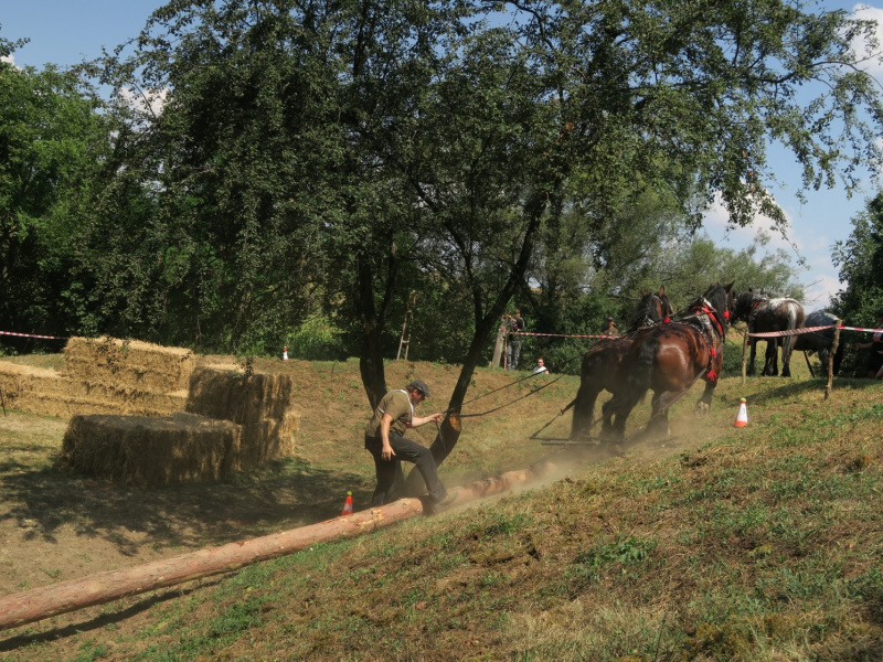Fašiangy 2016