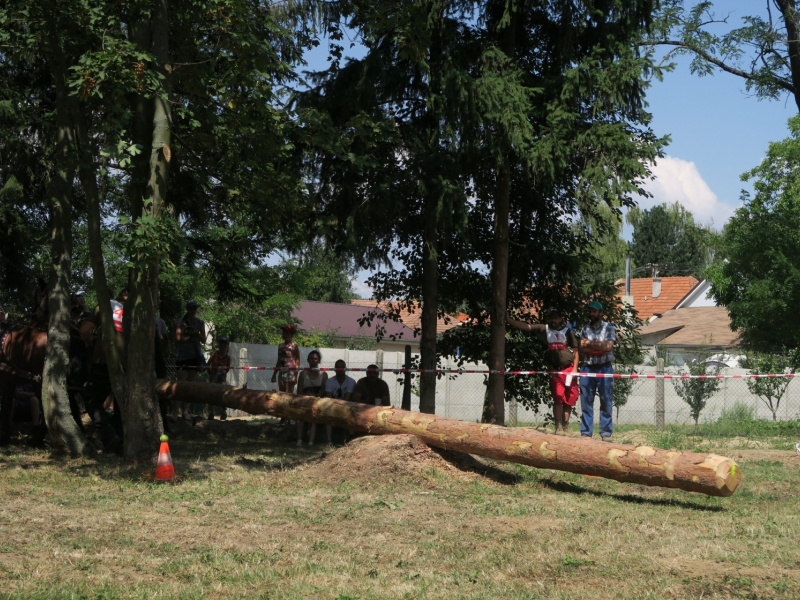 Fašiangy 2016