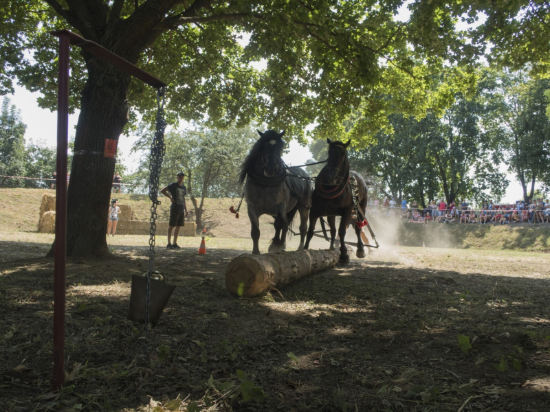 Fašiangy 2016