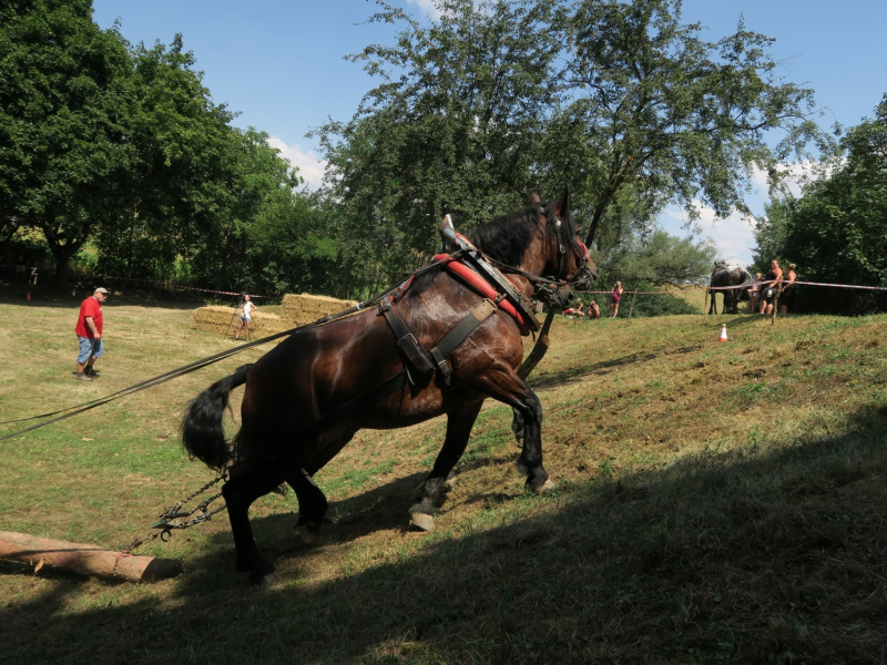 Fašiangy 2016