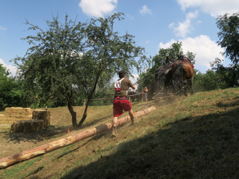 Fašiangy 2016