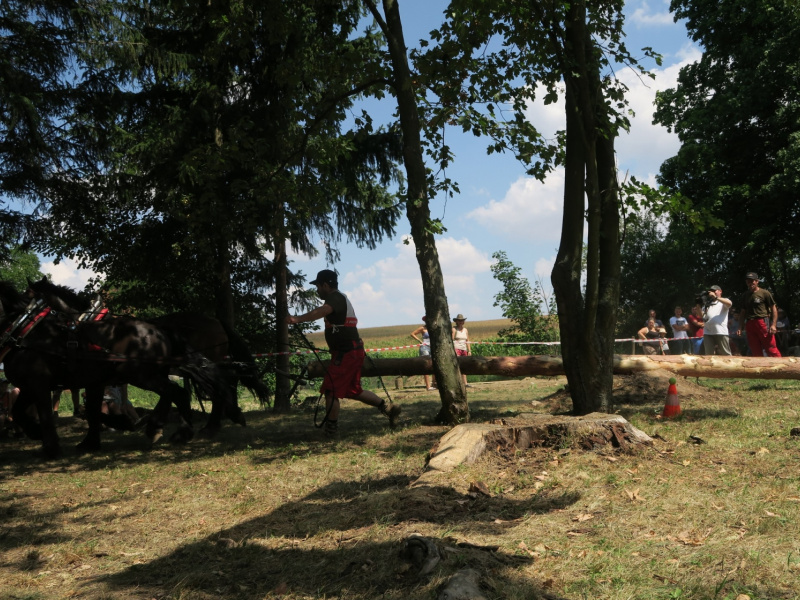 Fašiangy 2016