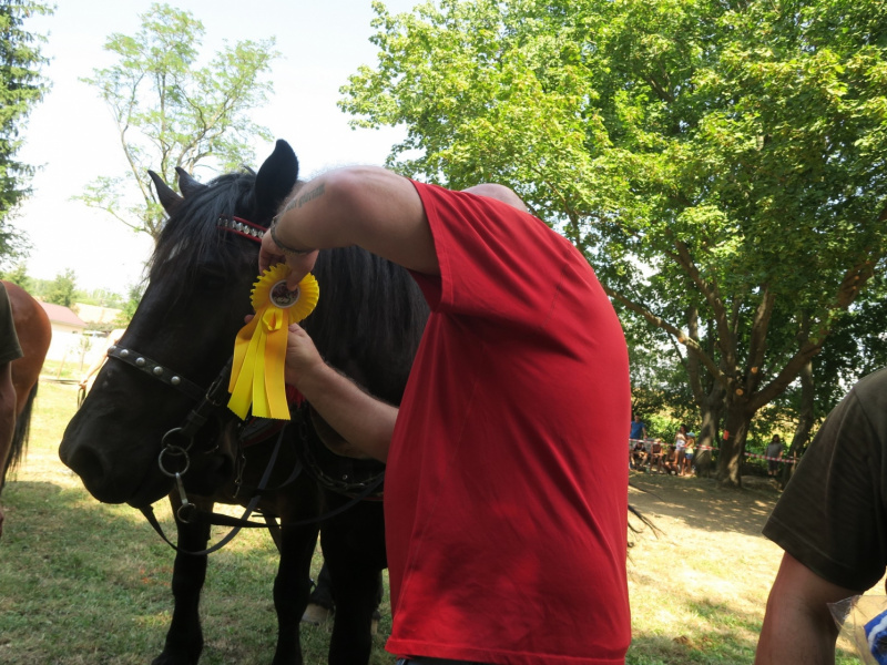 Fašiangy 2016