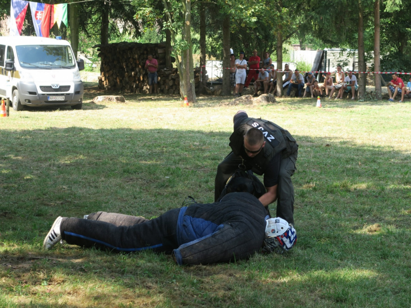 Fašiangy 2016