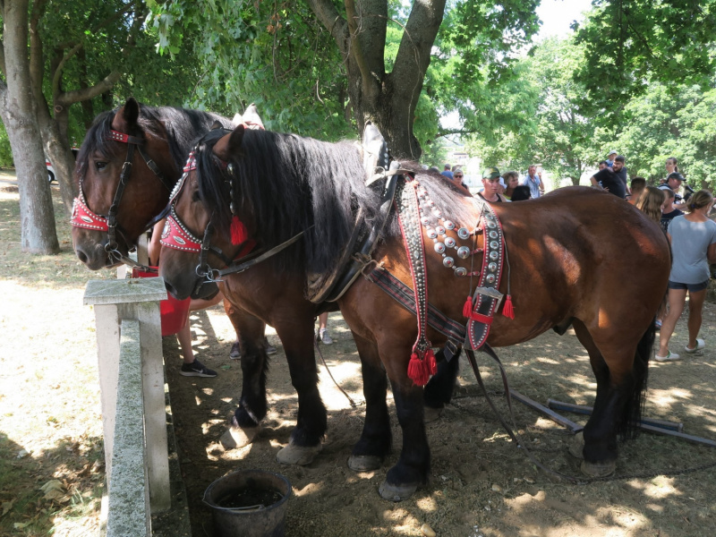 Fašiangy 2016
