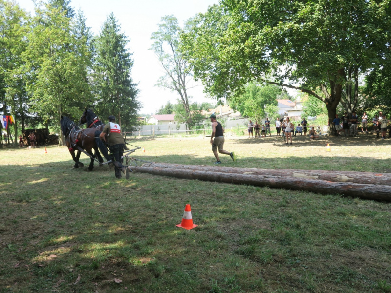 Fašiangy 2016