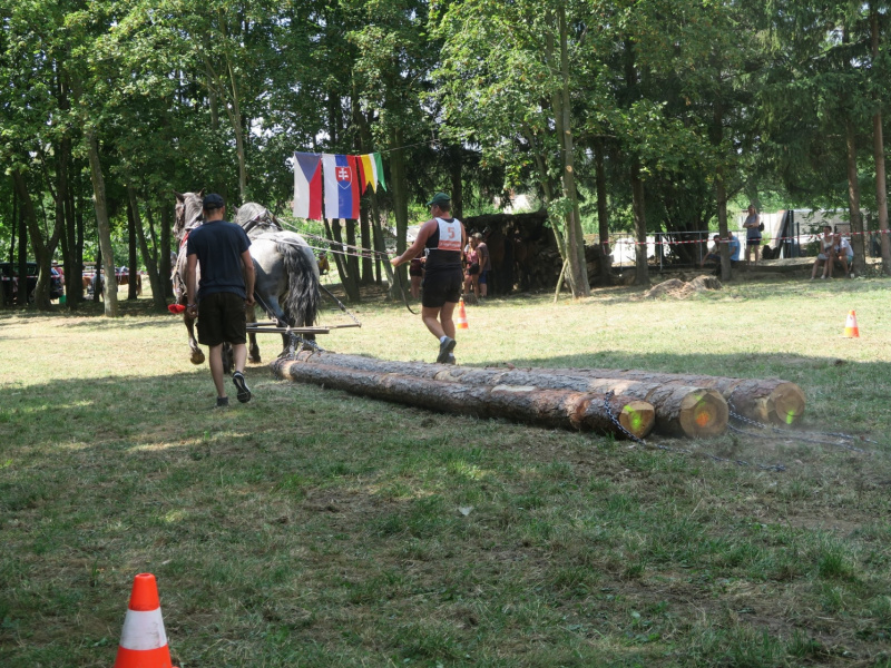 Stavanie mája 2016