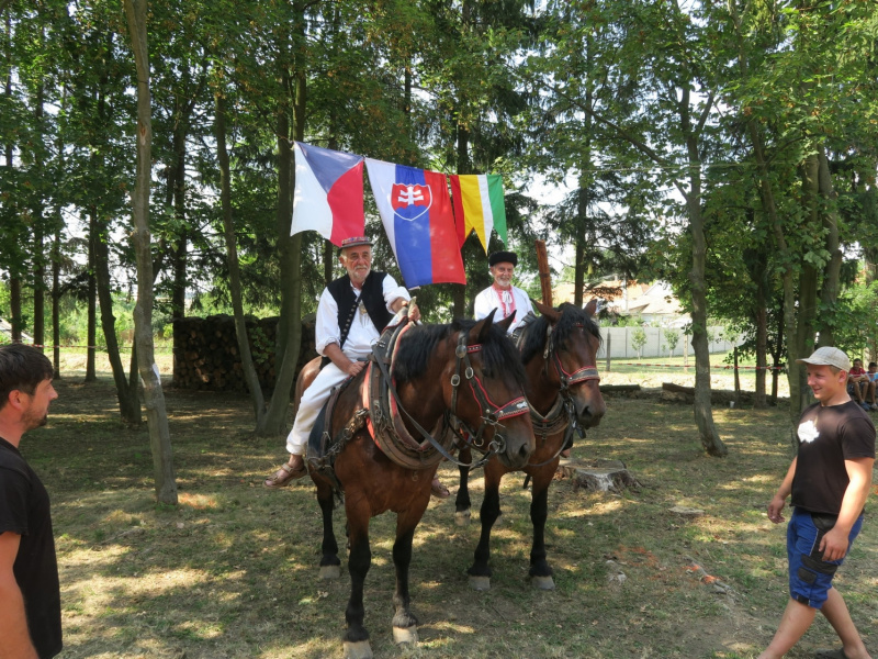 Stavanie mája 2016