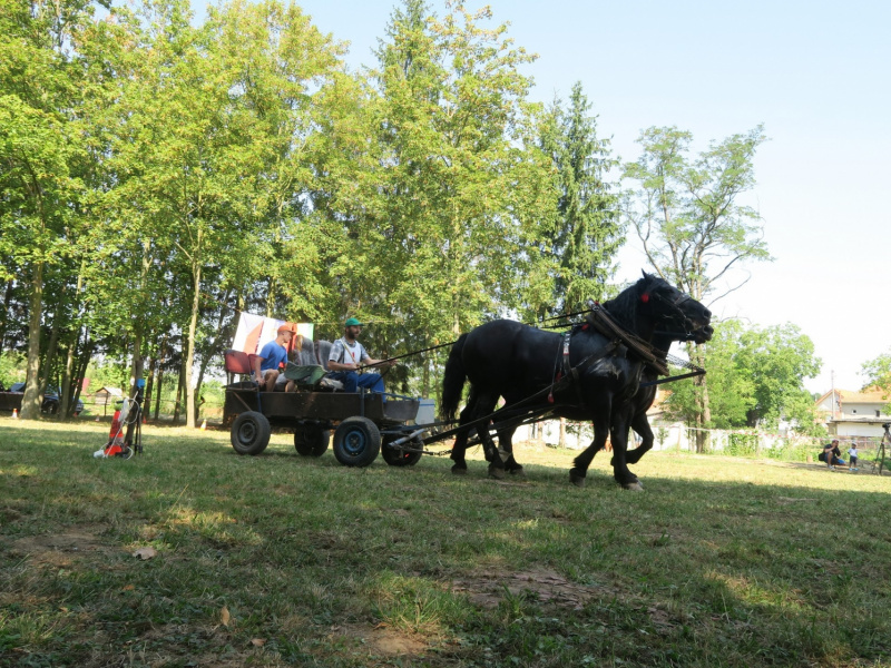 Oslavy MDD a Dňa otcov 4.6.2016