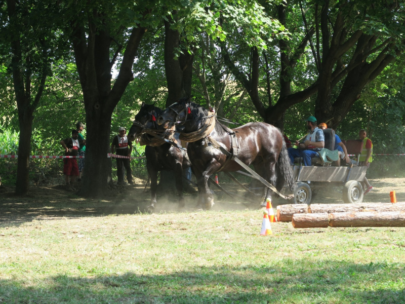 Oslavy MDD a Dňa otcov 4.6.2016