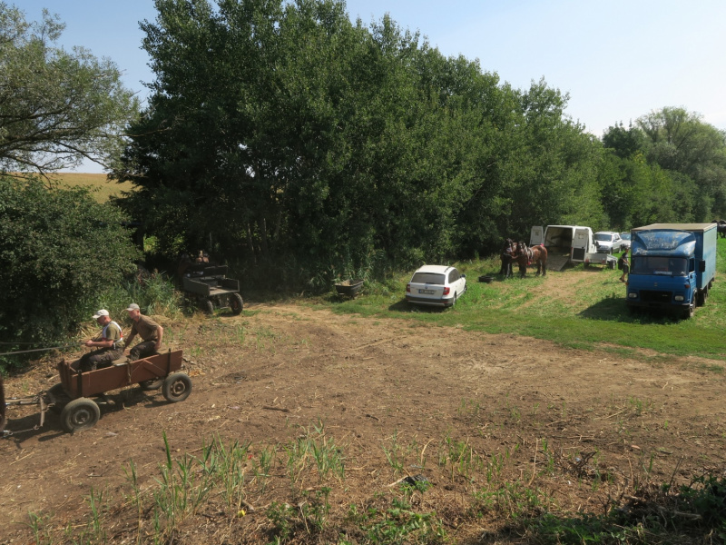 Oslavy MDD a Dňa otcov 4.6.2016