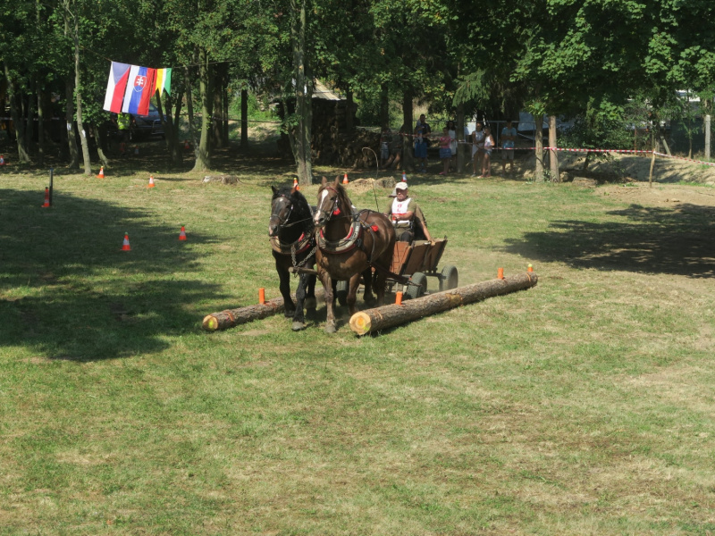 Oslavy MDD a Dňa otcov 4.6.2016