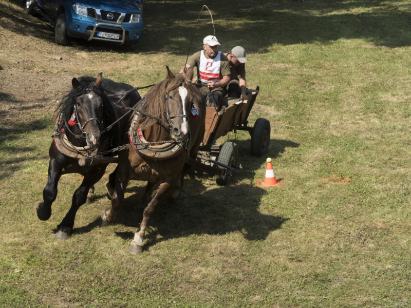 Oslavy MDD a Dňa otcov 4.6.2016