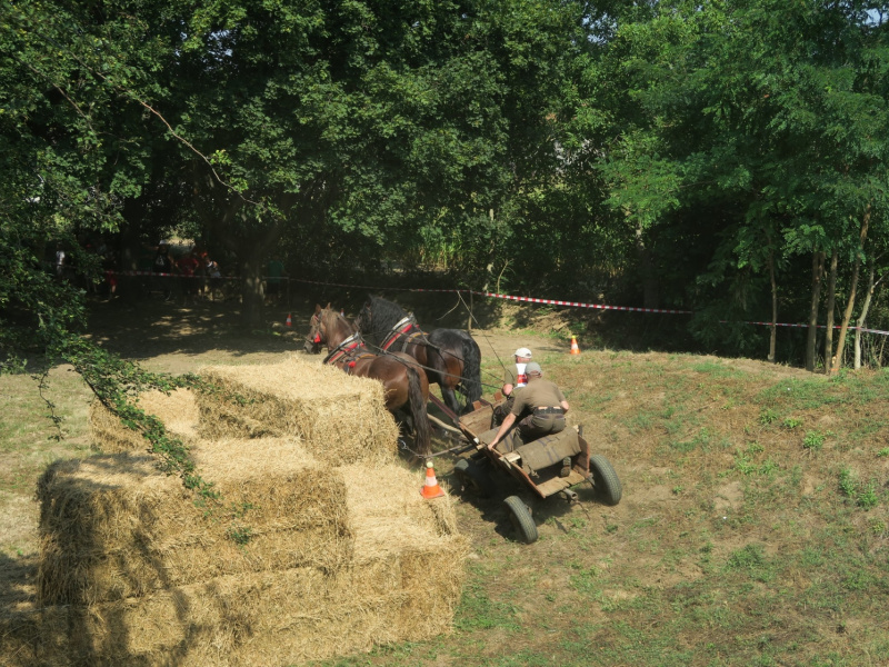 Oslavy MDD a Dňa otcov 4.6.2016