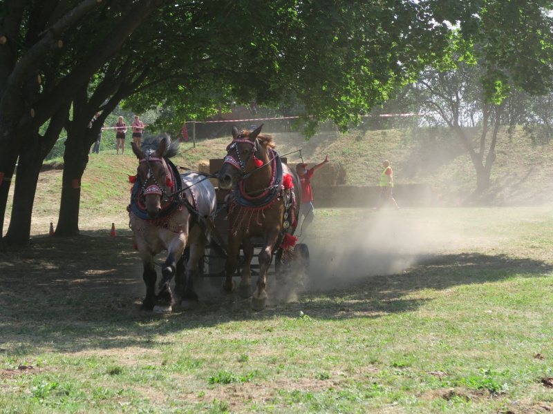 Oslavy MDD a Dňa otcov 4.6.2016