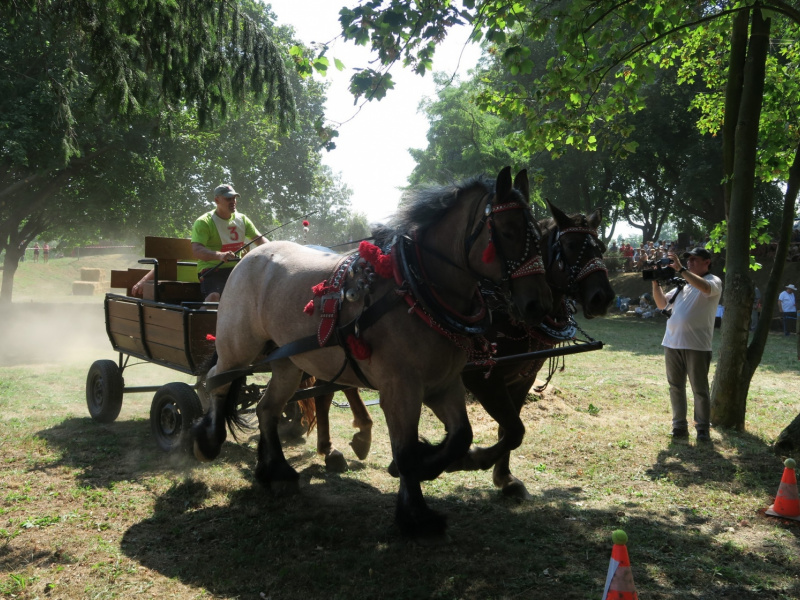 Oslavy MDD a Dňa otcov 4.6.2016