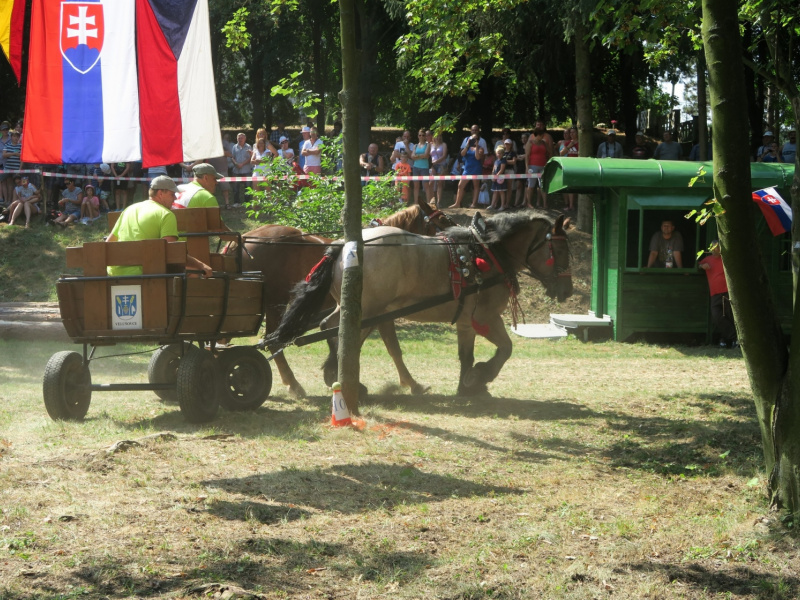 Oslavy MDD a Dňa otcov 4.6.2016