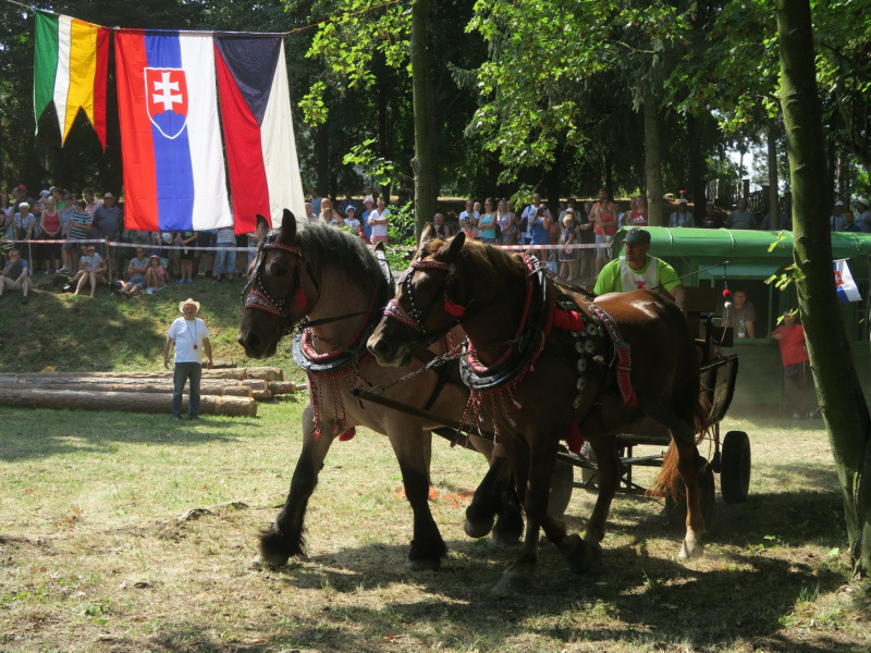 Oslavy MDD a Dňa otcov 4.6.2016