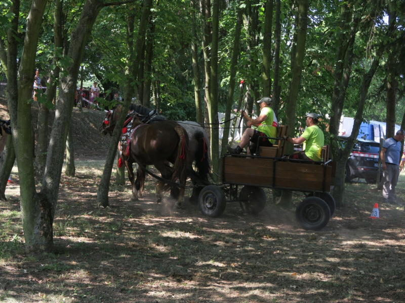 Oslavy MDD a Dňa otcov 4.6.2016