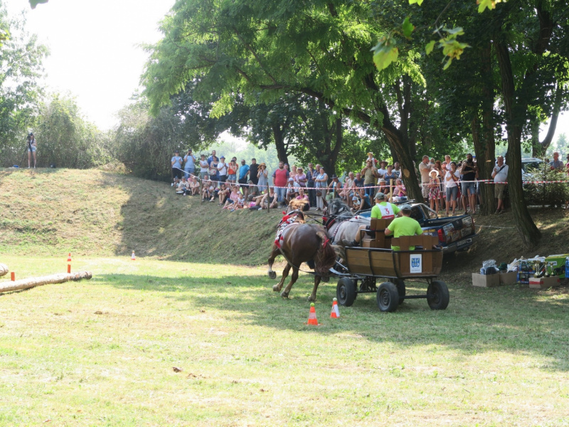Oslavy MDD a Dňa otcov 4.6.2016