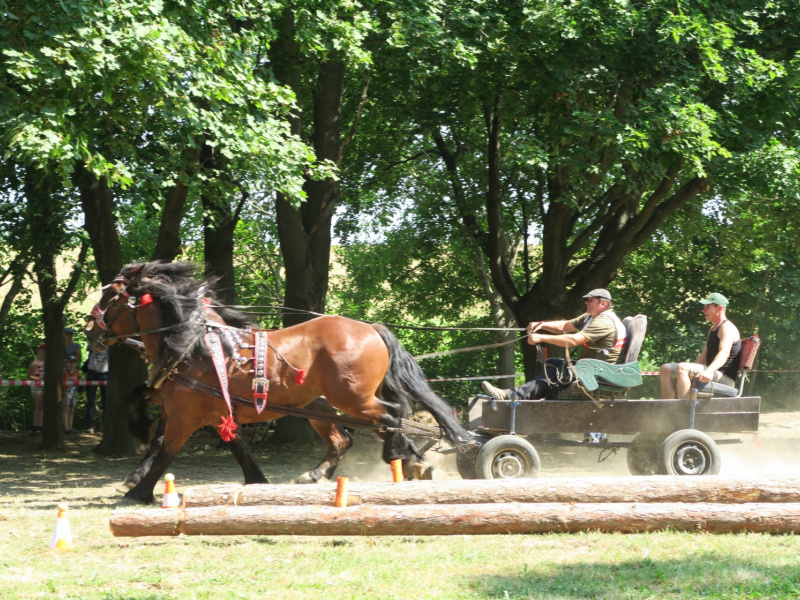 Oslavy MDD a Dňa otcov 4.6.2016