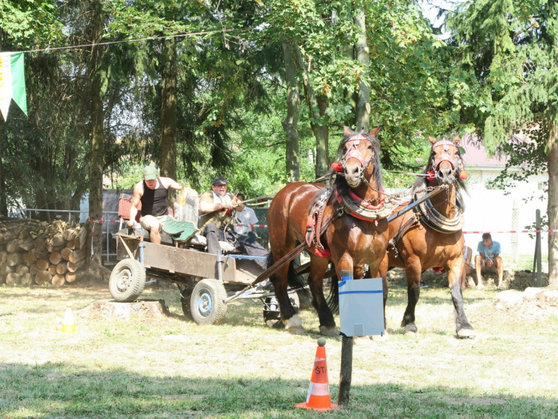 Oslavy MDD a Dňa otcov 4.6.2016