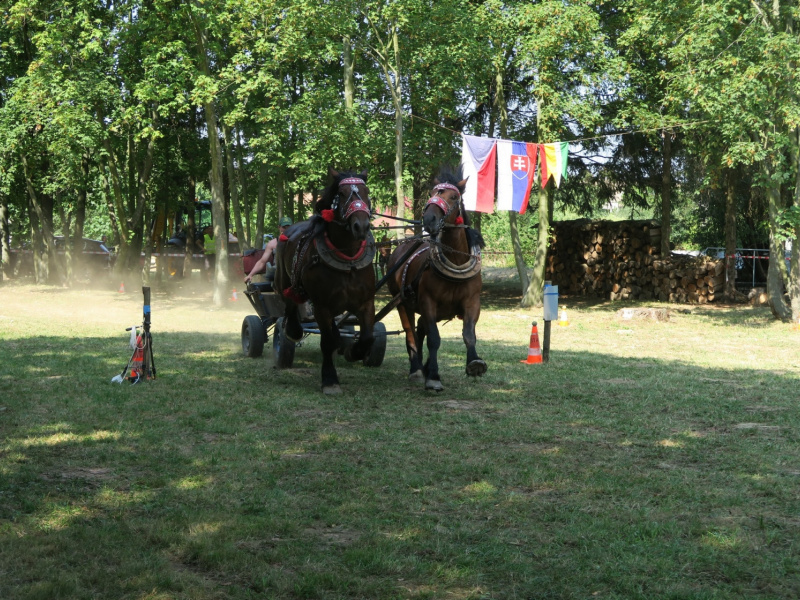 Oslavy MDD a Dňa otcov 4.6.2016
