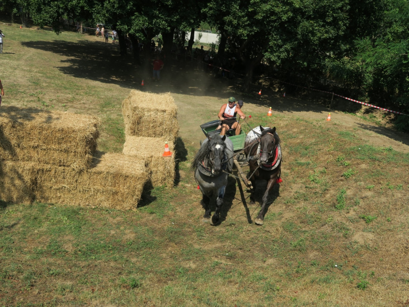 Oslavy MDD a Dňa otcov 4.6.2016
