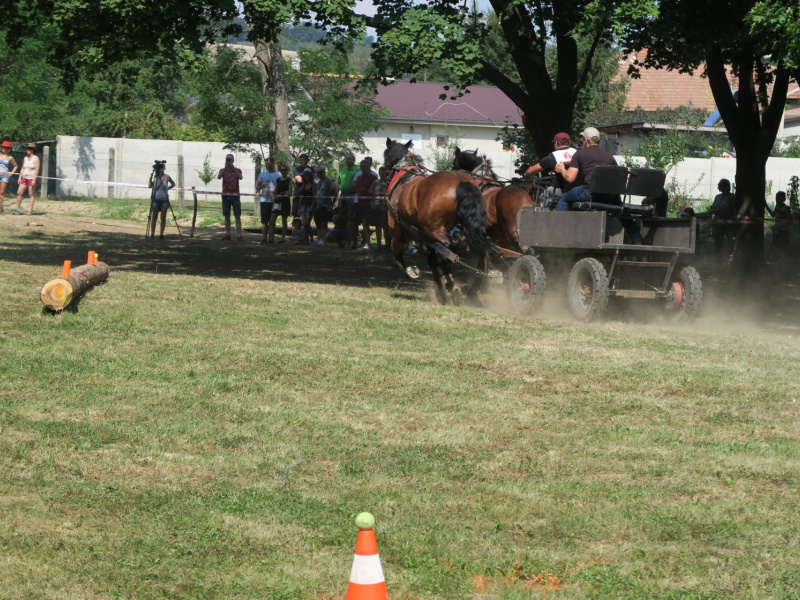 Oslavy MDD a Dňa otcov 4.6.2016