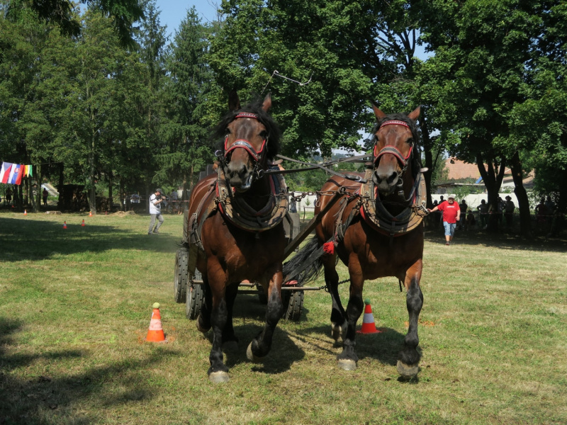 Oslavy MDD a Dňa otcov 4.6.2016