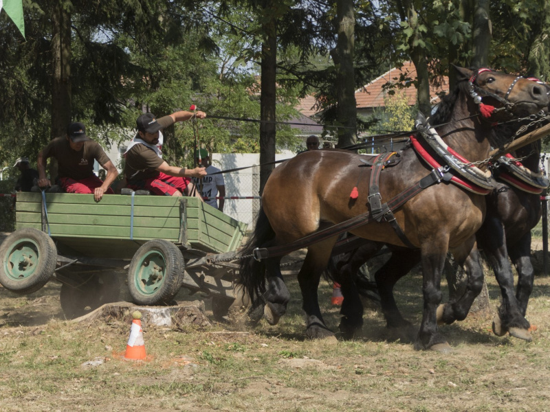 Oslavy MDD a Dňa otcov 4.6.2016
