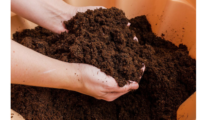 Rašelina pri Kultúrnom dome v časti obce Suľany