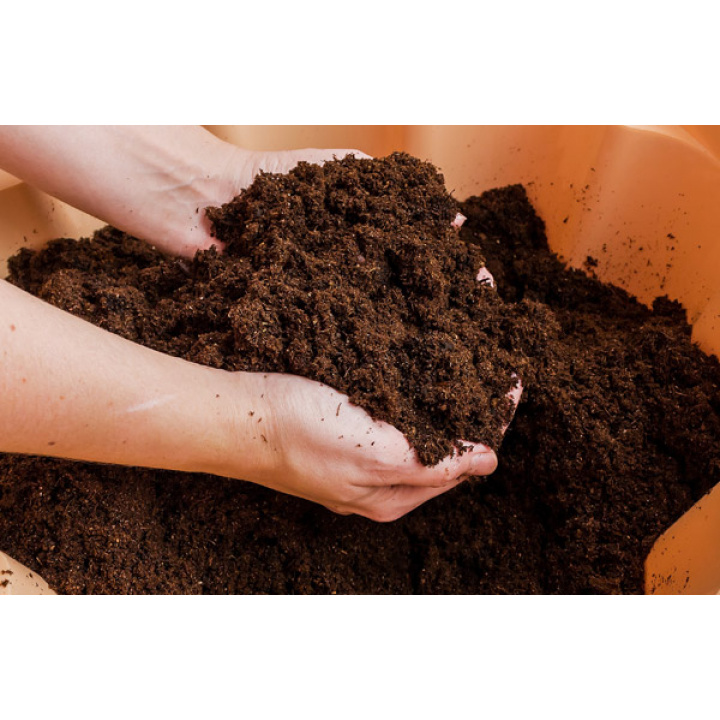 Rašelina pri Kultúrnom dome v časti obce Suľany